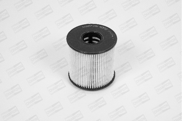 Oil Filter (XE532/606)