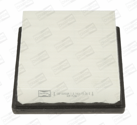 Air Filter (CAF100930P)