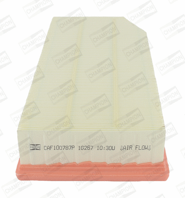 Air Filter (CAF100787P)