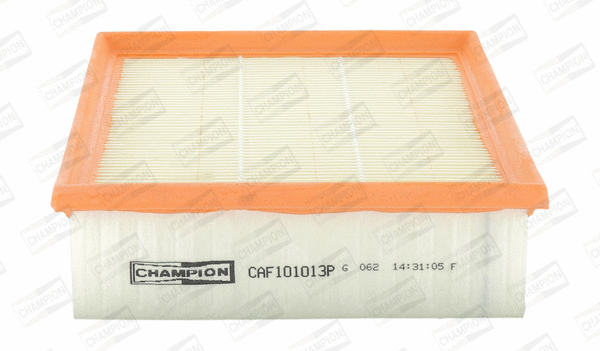 Air Filter (CAF101013P)