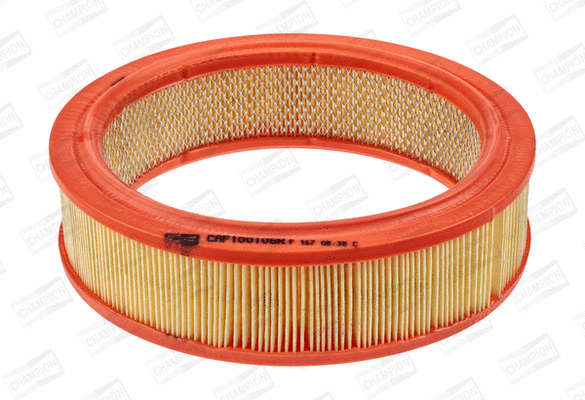 Air Filter (CAF100106R)