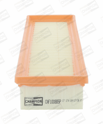 Air Filter (CAF100885P)