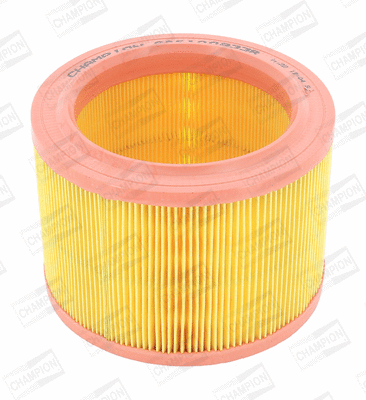 Air Filter (CAF100233R)