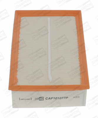 Air Filter (CAF101077P)
