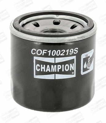 Oil Filter (COF100219S)