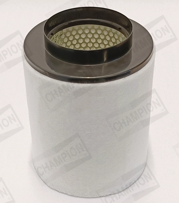 Air Filter (CAF101191R)