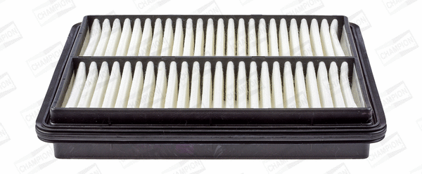Air Filter (CAF100683P)
