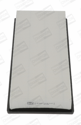 Air Filter (CAF100863P)