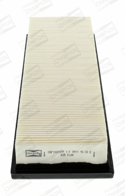 Air Filter (CAF100737P)