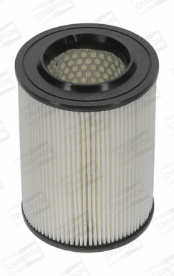 Air Filter (CAF100417C)