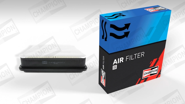 Air Filter (CAF100878P)