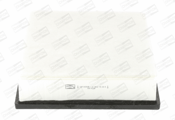 Air Filter (CAF100769P)