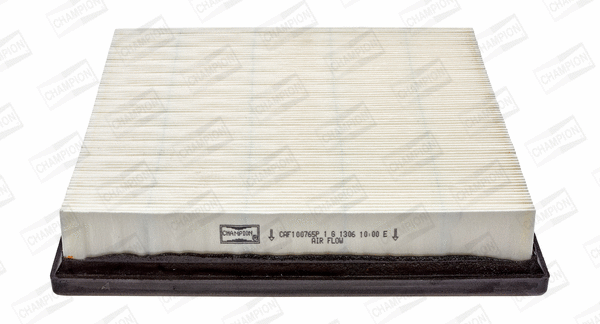 Air Filter (CAF100765P)