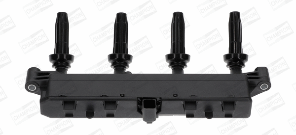 Ignition Coil (BAEA048E)