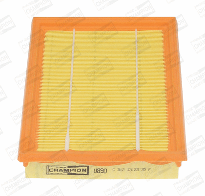 Air Filter (CAF100890P)