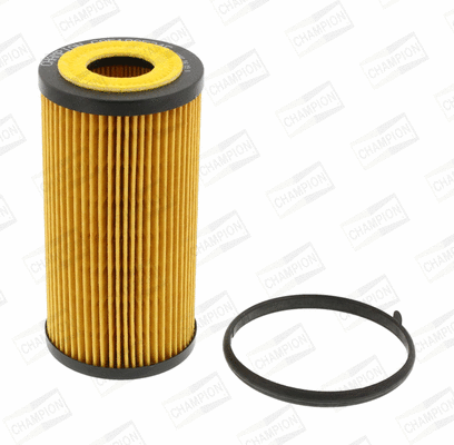 Oil Filter (COF100534E)