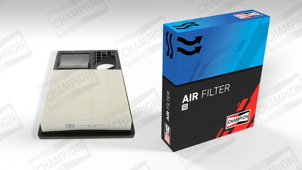 Air Filter (CAF100748P)
