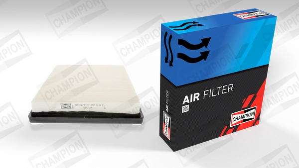 Air Filter (CAF100671P)
