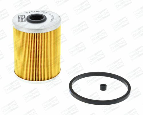 Fuel Filter (CFF100255)