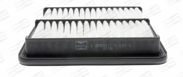 Air Filter (CAF100725P)