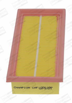 Air Filter (CAF100639P)