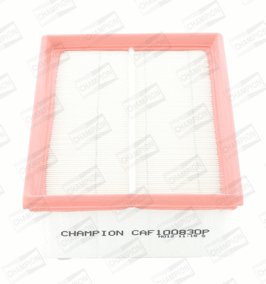 Air Filter (CAF100830P)