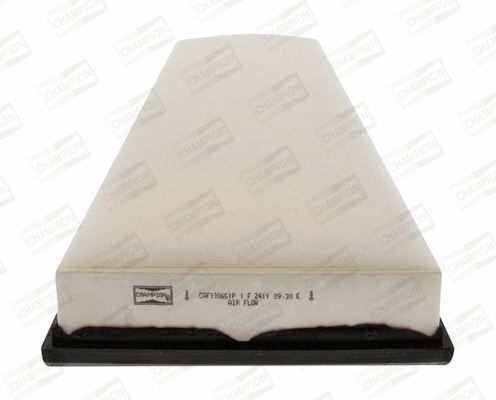Air Filter (CAF100651P)