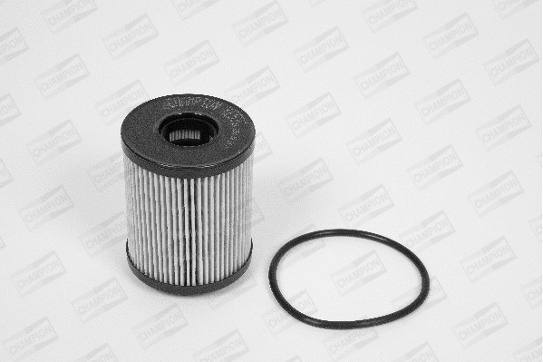 Oil Filter (XE531/606)
