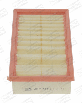 Air Filter (CAF100614P)