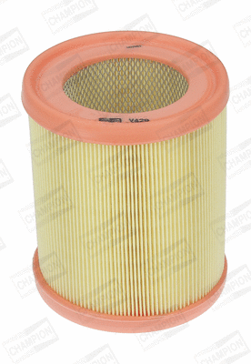 Air Filter (CAF100429C)