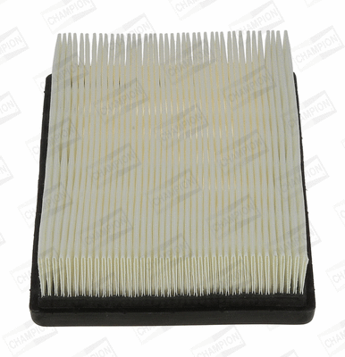 Air Filter (CAF100961P)