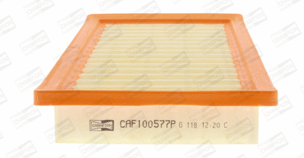 Air Filter (CAF100577P)