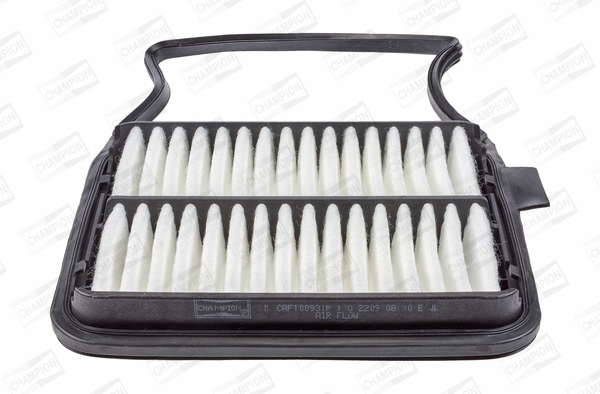 Air Filter (CAF100931P)