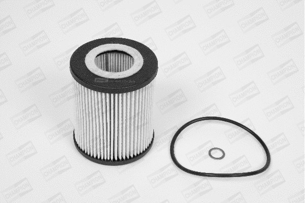 Oil Filter (XE573/606)