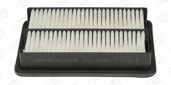 Air Filter (CAF101015P)