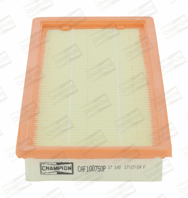 Air Filter (CAF100750P)