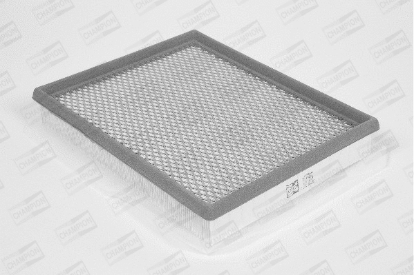 Air Filter (U795/606)