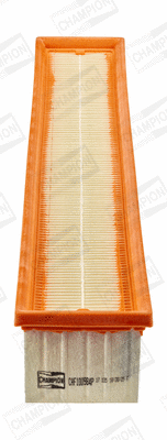 Air Filter (CAF100984P)
