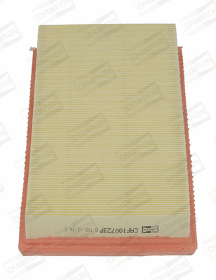 Air Filter (CAF100723R)