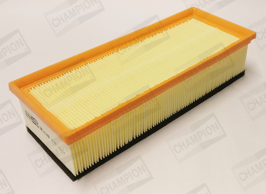 Air Filter (CAF101248P)