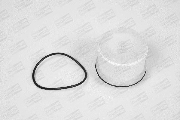 Fuel Filter (L477/606)