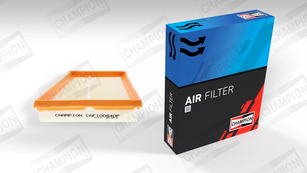 Air Filter (CAF100840P)