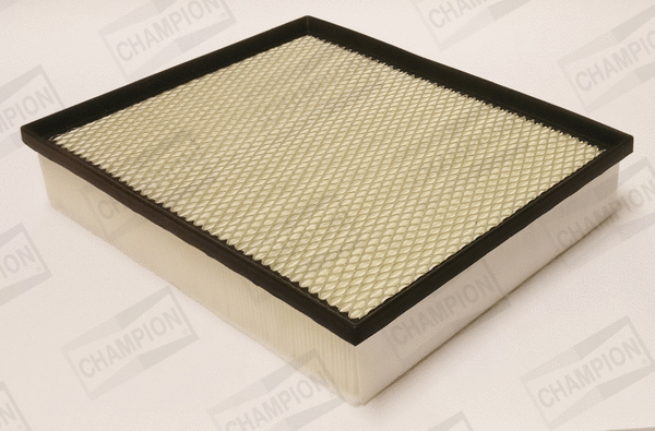 Air Filter (CAF101312P)