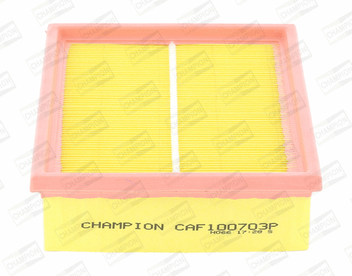 Air Filter (CAF100703P)