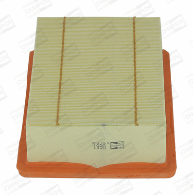 Air Filter (CAF100681P)