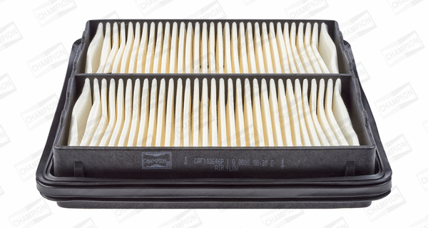 Air Filter (CAF100646P)