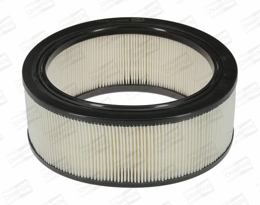 Air Filter (CAF100184R)