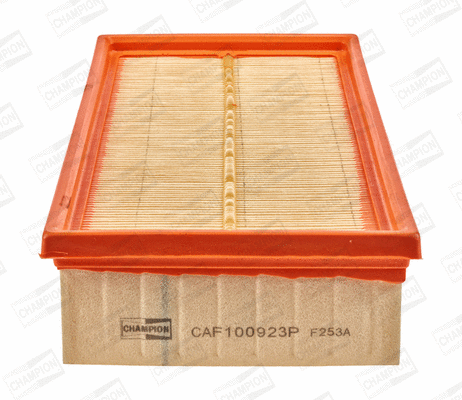 Air Filter (CAF100923P)