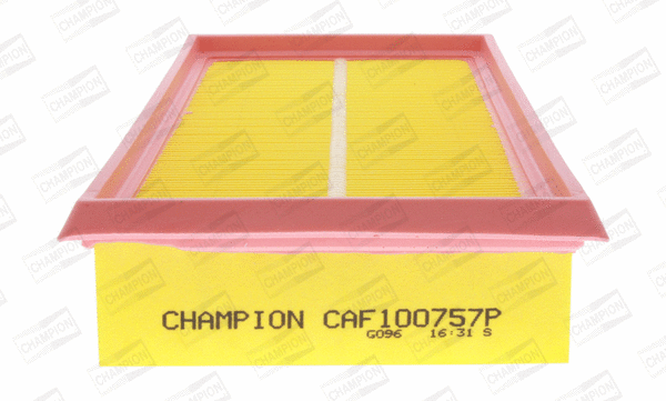 Air Filter (CAF100757P)