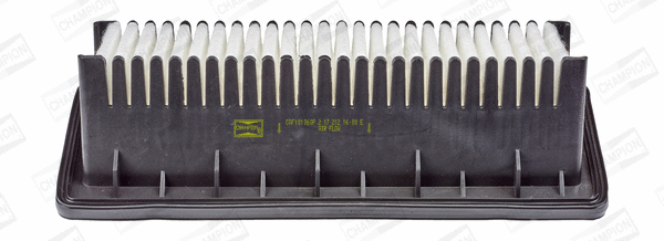 Air Filter (CAF101060P)